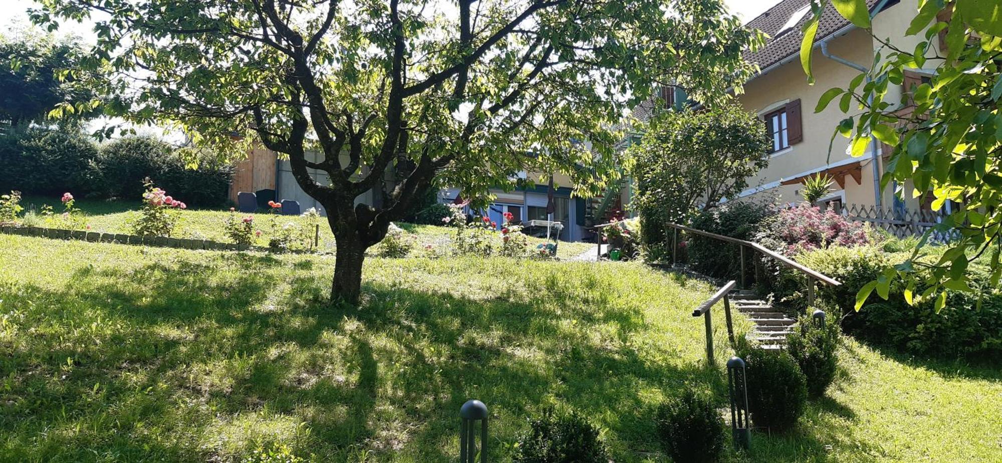 Ferienwohnungen Soravia Gamlitz Exterior photo
